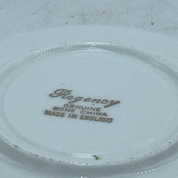 Regency English Bone China Fruits Teacup and Saucer - Picture 11 of 13